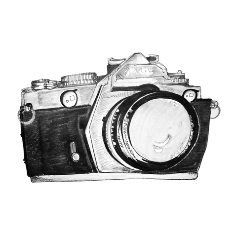 nikki_38d74689-5e3b-4130-9898-a9018ac6f3d3.png
