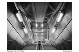 Pan 200 High Speed Black and White Negative Film, 35mm