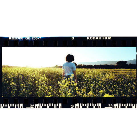 5 stks Lege 135 Film Canisters Compatibel voor 35mm en 135mm Camera's 5 stks Lege 135 Film Canisters Compatibel voor 35mm en 135mm Camera's