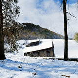 FarmBuildings_E100_Dynamic_c_be49615a-f86f-48c8-bd4e-4322e2870c03.jpg