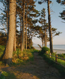 Ektacolor PRO 800 Color Negative Film 120 5-Pack